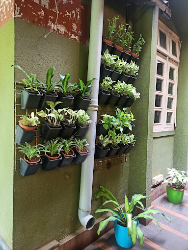 Gallery image 1