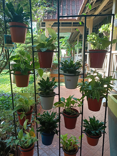 Gallery image 3